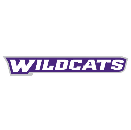 Abilene Christian Wildcats 2013-Pres Wordmark Logo1 T-shirts Iro